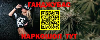 прущие грибы Камень-на-Оби
