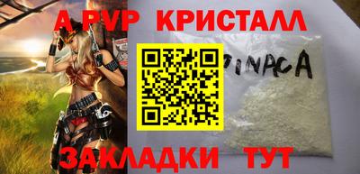 прущие грибы Камень-на-Оби