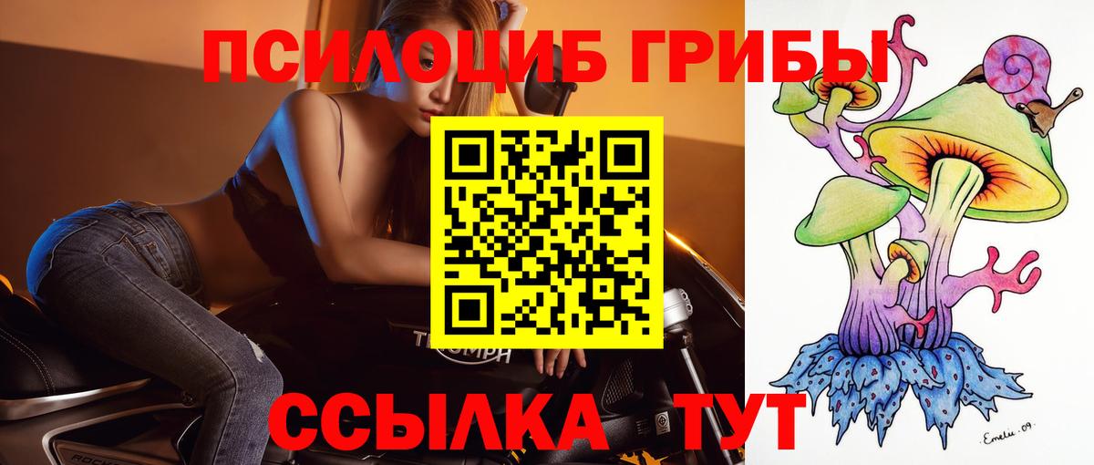 Ликино-Дулёво  Галлюциногенные грибы мицелий  Вход с VPN  Псилоцибиновые грибы Cubensis 