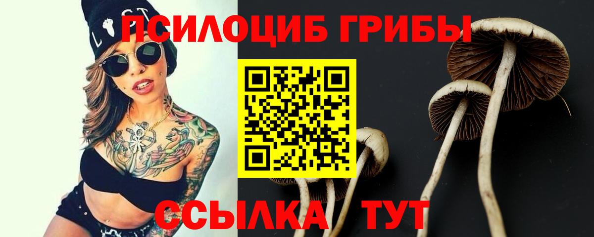Псилоцибиновые грибы прущие грибы Ликино-Дулёво